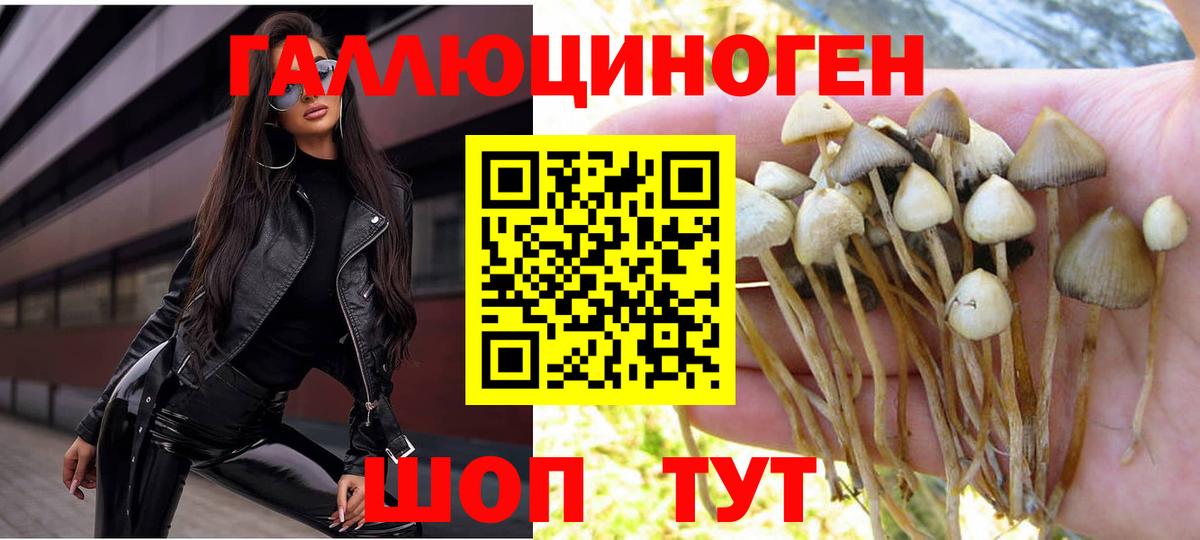 Псилоцибиновые грибы GOLDEN TEACHER  Галлюциногенные грибы Psilocybe  Вход с VPN  Кохма 