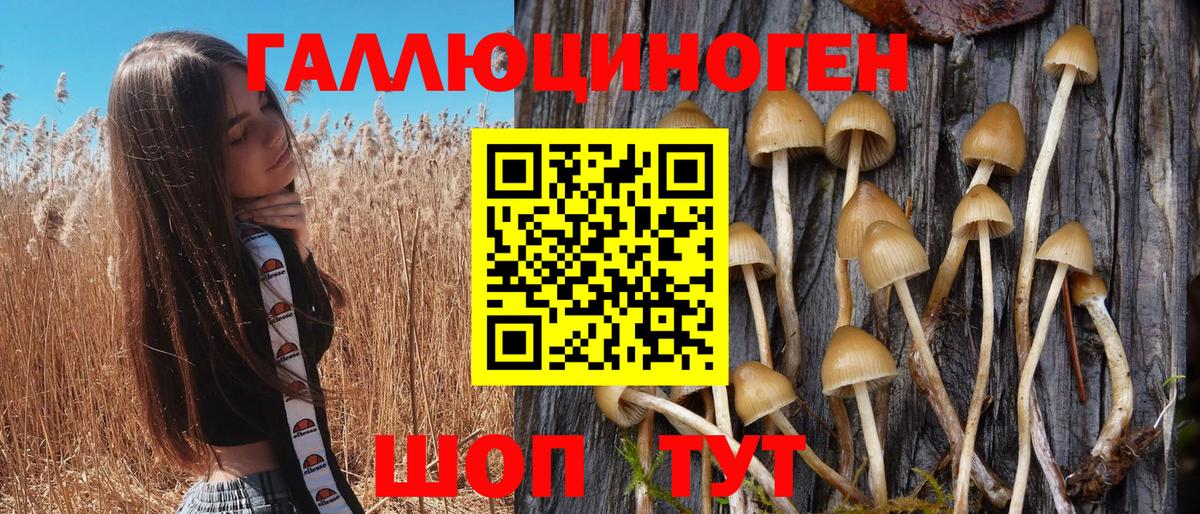 Галлюциногенные грибы GOLDEN TEACHER Кохма